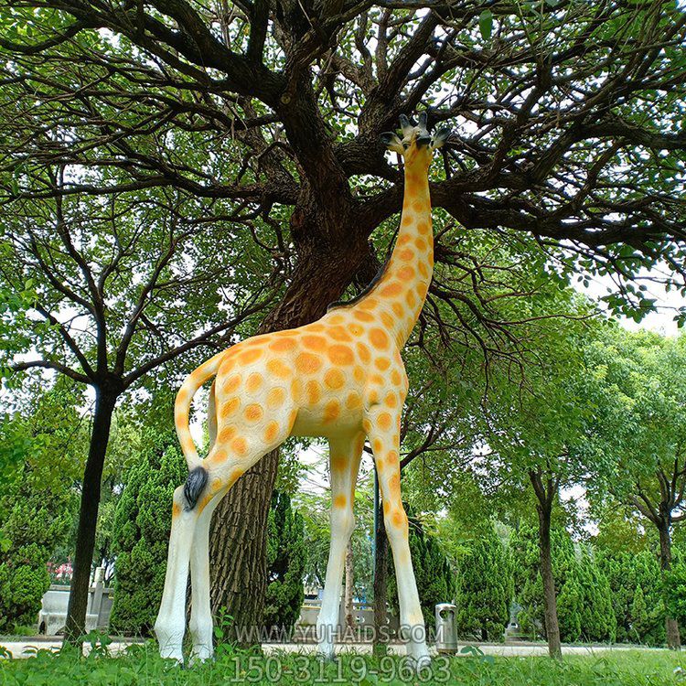 玻璃鋼仿真長(zhǎng)頸鹿，公園園林草坪動(dòng)物景觀雕塑